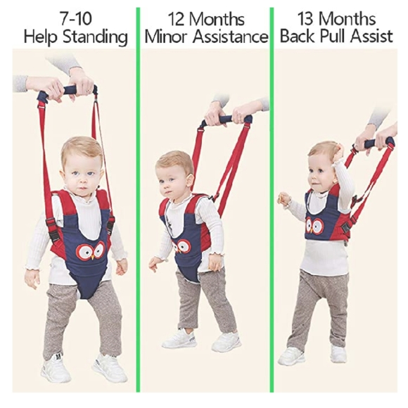 Baby Walker Toddler Walking Assistant - Picture 2 of 5